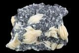 Cerussite Crystals with Bladed Barite on Galena - Morocco #90226-1